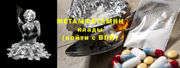 прущие грибы Лиски